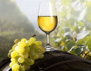 Вплив біологічних способів вирощування винограду на якість вина оцінити важко